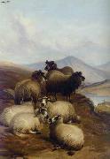 Sheep 192 unknow artist